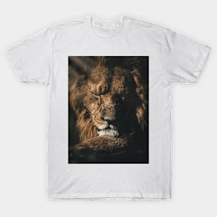 Lion Sleeping T-Shirt